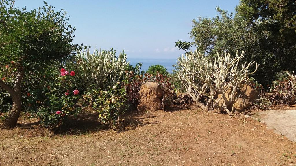Villa La Rosa Pecorini Eksteriør bilde